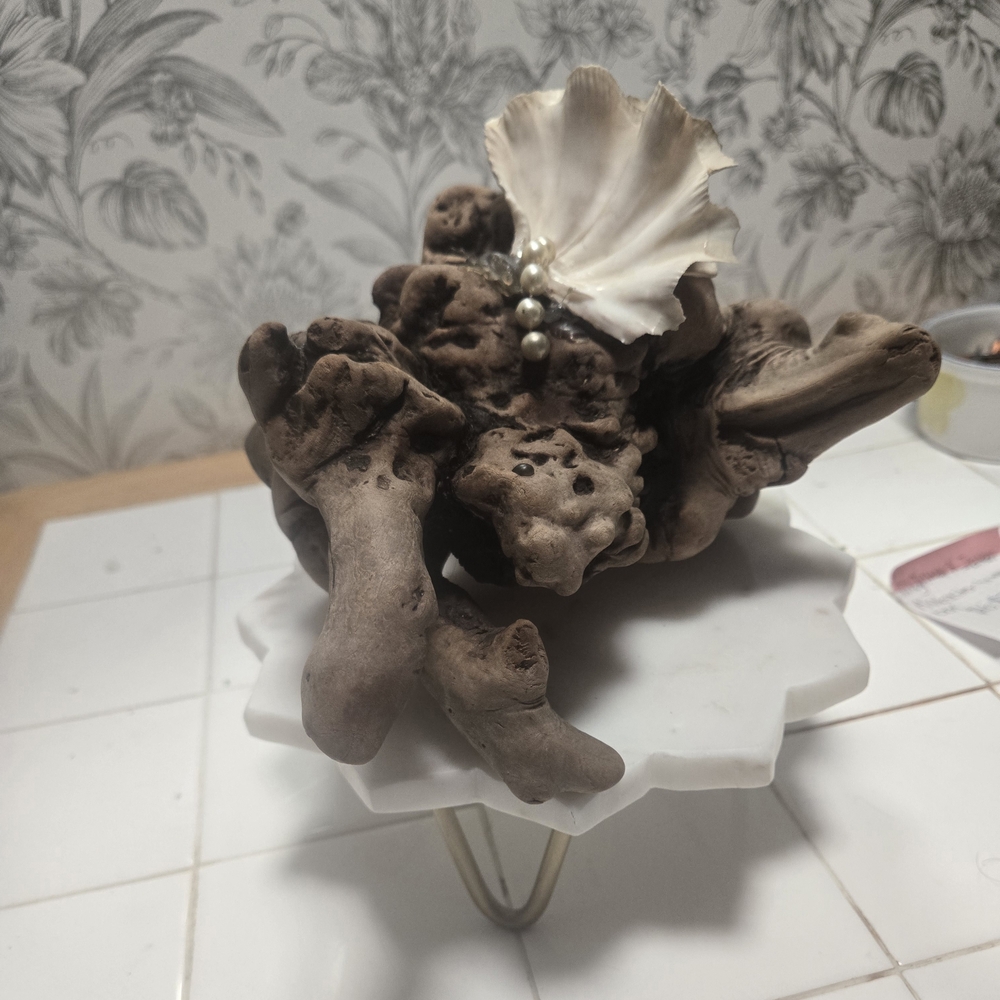 Natural Driftwood and Shell Accent Piece